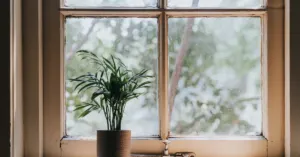 Old window needing replacement