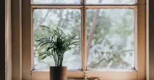 Old window needing replacement