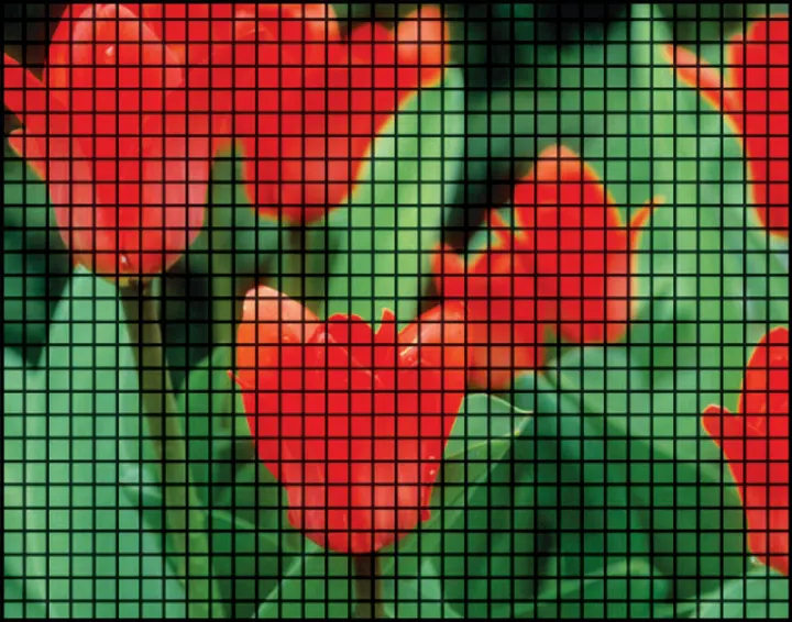 ThruVision PLUS® Screen